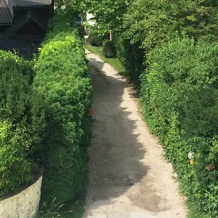 Alpin Chic * גרודיג