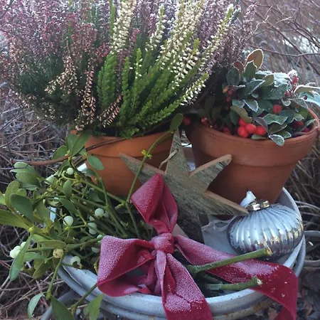 Alpin Chic דירה גרודיג