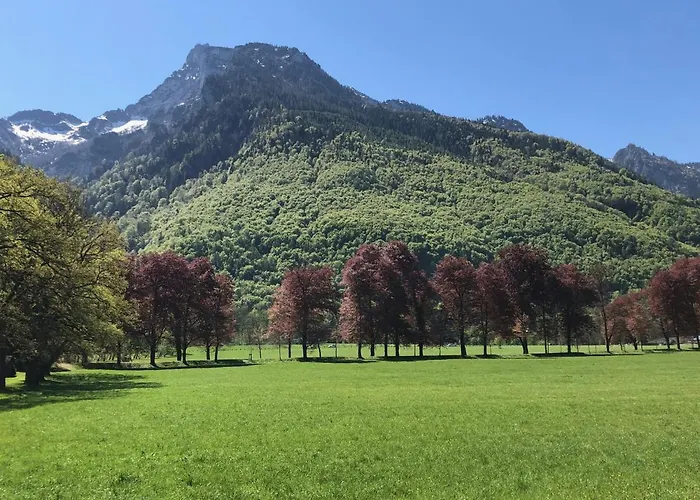 Lägenhet Alpin Chic